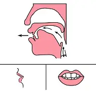 ruici是什么意思-爱游戏在线入口