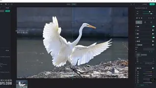 包含g閄/瘻燱h丳On瘋?z?燗{檶uhBQYx霓?a?婐J&amp;磶(Ef4膧剶鉦N6L??颿的词条-爱游戏平台